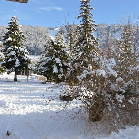 Villard De Lans Экстерьер фото