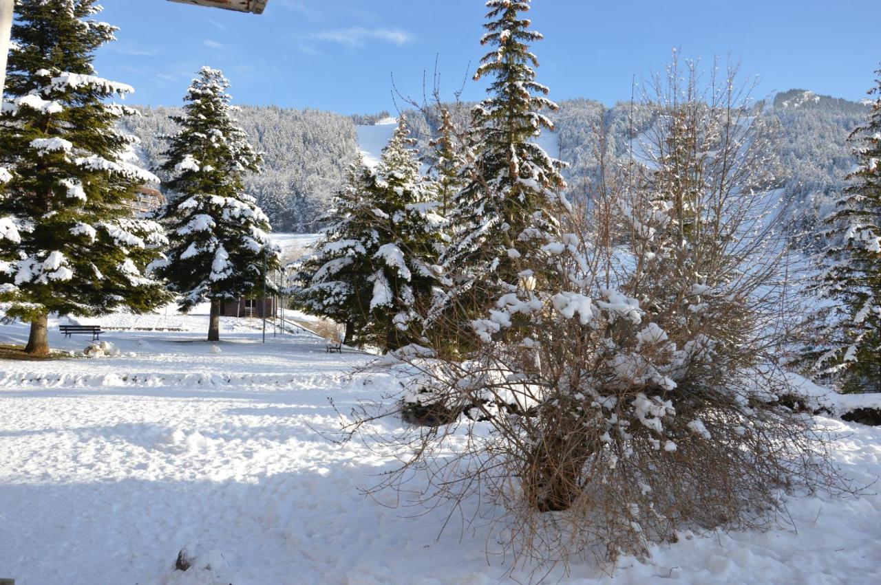 Villard De Lans Экстерьер фото